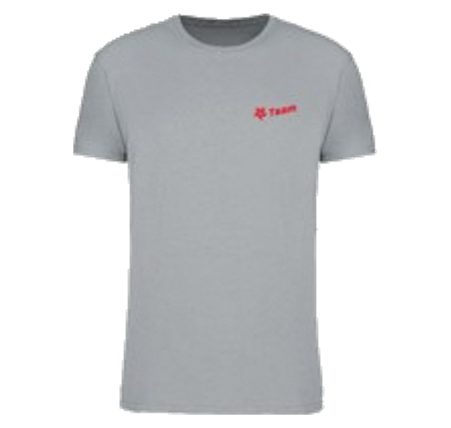 T-shirt Team 2024